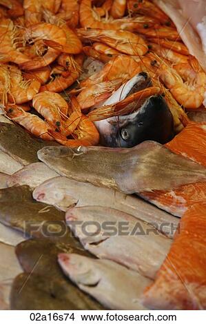 Fresh Fish View Large Photo Image Picture - Fresh Fish. Fotosearch
