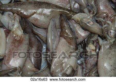 Stock Image - Fresh Seafood. Fotosearch