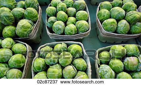 Freshly grown brussel sprouts on display at a farmer's market. View Large Photo Image Stock Photo - Freshly grown brussel sprouts on display at a farmer's market.. Fotosearch