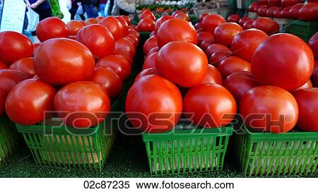 Freshly grown tomatoes on display at a farmer's market. View Large Photo Image Stock Photography - Freshly grown tomatoes on display at a farmer's market.. Fotosearch