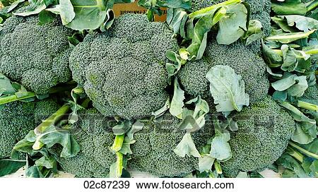 Freshly picked broccoli on display at a farmer's market. View Large Photo Image Stock Photo - Freshly picked broccoli on display at a farmer's market.. Fotosearch