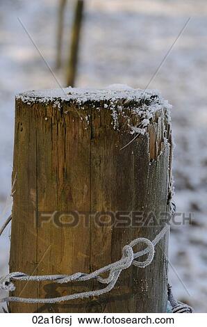Frosty fence View Large Photo Image Stock Image - Frosty fence. Fotosearch