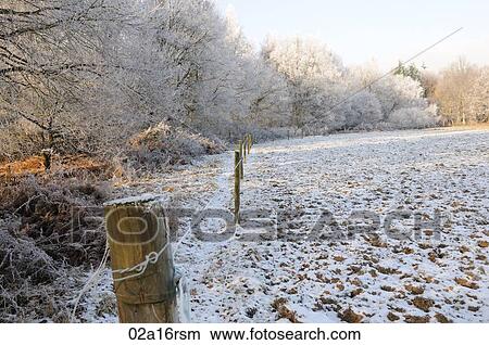 Frosty morning View Large Photo Image Picture - Frosty morning. Fotosearch