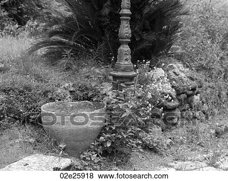 Stock Photo - Garden in Corfu. Fotosearch