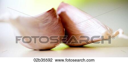 Garlic View Large Photo Image Stock Image - Garlic. Fotosearch