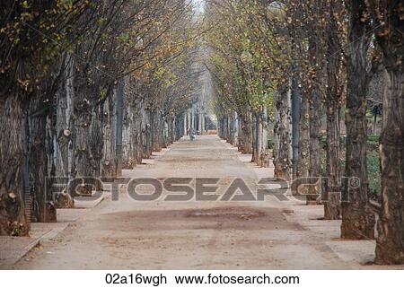 Granada, Andalusia, Spain, Federico Garcia Lorca park View Large Photo Image Stock Image - Granada, Andalusia, Spain, Federico Garcia Lorca park. Fotosearch