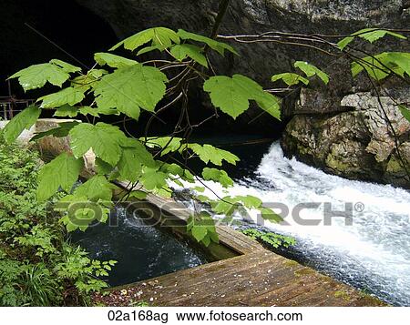 Green leaves, river and stone rocks View Large Photo Image Stock Image - Green leaves, river and stone rocks. Fotosearch