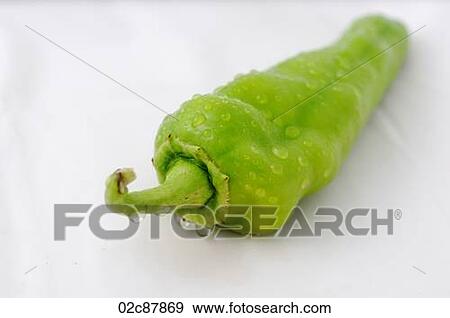 Green pepper View Large Photo Image Stock Photo - Green pepper. Fotosearch