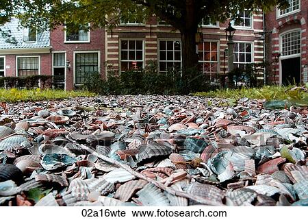 Haarlem, Holland View Large Photo Image Stock Image - Haarlem, Holland. Fotosearch