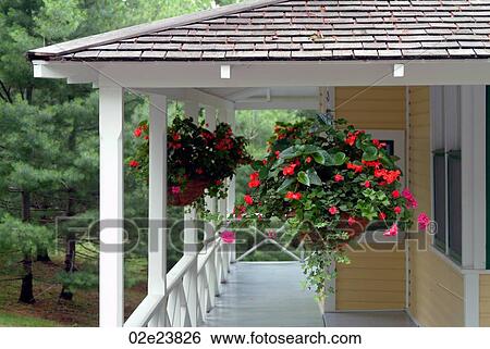 Hanging flowers on cottage porch View Large Photo Image Stock Photograph - Hanging flowers on cottage porch. Fotosearch