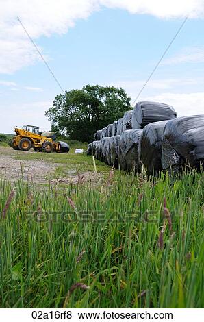 Hay bales wrapped in black plastic being moved by the farmer View Large Photo Image Stock Photo - Hay bales wrapped in black plastic being moved by the farmer. Fotosearch