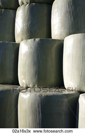 Hay In Rolls Close Up View Large Photo Image Stock Photo - Hay In Rolls Close Up. Fotosearch