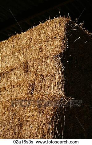 Hay View Large Photo Image Stock Photograph - Hay. Fotosearch
