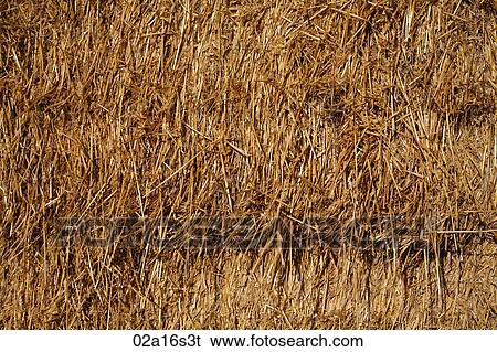 Hay View Large Photo Image Stock Photograph - Hay. Fotosearch