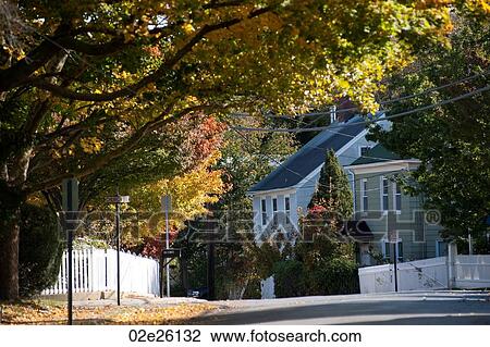 House in The Hamptons View Large Photo Image Stock Image - House in The Hamptons. Fotosearch