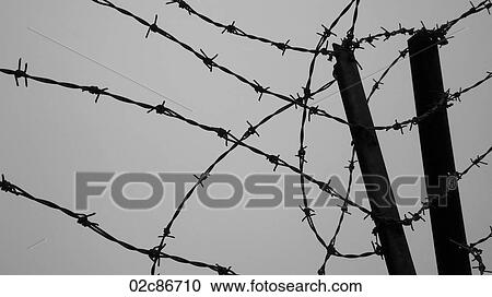 Stock Image - Intertwined barbed wire fence.. Fotosearch