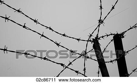 Stock Image - Intertwined barbed wire fence.. Fotosearch