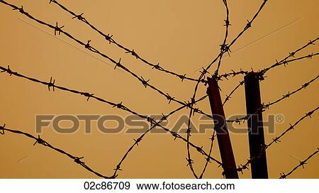 Stock Photo - Intertwined barbed wire fence.. Fotosearch