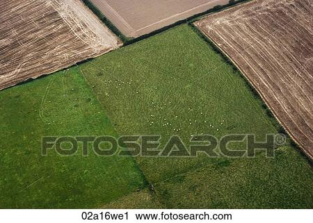 Stock Image - Ireland, County Cork, aerial view. Fotosearch
