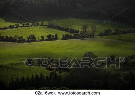 Ireland, County Cork farmland View Large Photo Image Stock Image - Ireland, County Cork farmland. Fotosearch