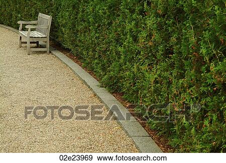 Isolated wooden park bench next to hedge. View Large Photo Image Stock Photo - Isolated wooden park bench next to hedge.. Fotosearch