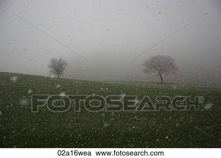 Italy, Tuscany, winter View Large Photo Image Stock Image - Italy, Tuscany, winter. Fotosearch