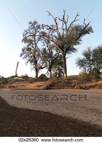 Stock Image - Kenya landscape. Fotosearch