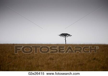 Kenya landscape View Large Photo Image Stock Photography - Kenya landscape. Fotosearch