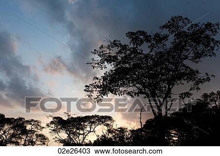Kenya sky at sunrise View Large Photo Image Stock Image - Kenya sky at sunrise. Fotosearch