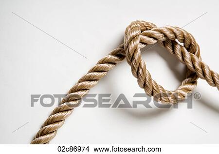 Knotted rope on a white background. View Large Photo Image Picture - Knotted rope on a white background.. Fotosearch