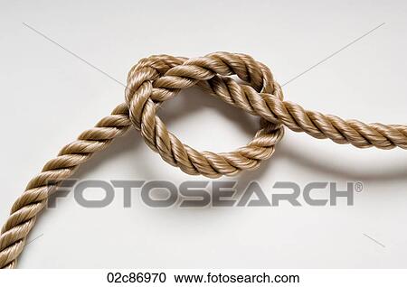 Knotted rope on a white background. View Large Photo Image Stock Image - Knotted rope on a white background.. Fotosearch