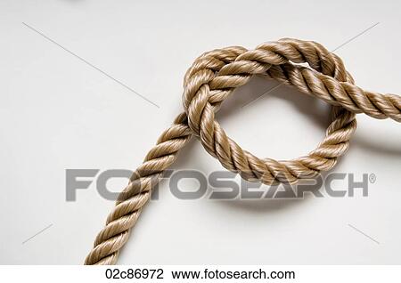 Knotted rope on a white background. View Large Photo Image Stock Image - Knotted rope on a white background.. Fotosearch