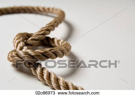 Knotted rope on a white background. View Large Photo Image Stock Image - Knotted rope on a white background.. Fotosearch