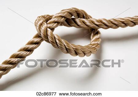 Knotted rope on a white background. View Large Photo Image Stock Photo - Knotted rope on a white background.. Fotosearch