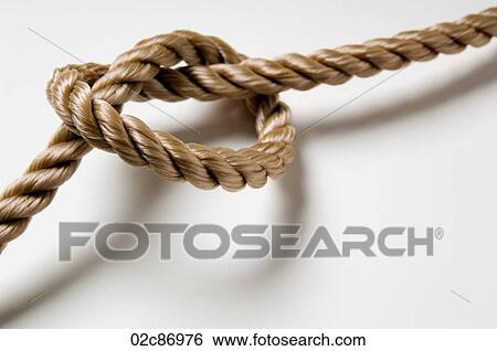 Knotted rope on a white background. View Large Photo Image Stock Photograph - Knotted rope on a white background.. Fotosearch