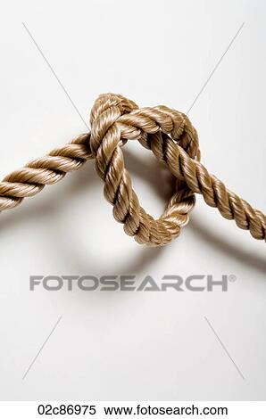 Knotted rope on a white background. View Large Photo Image Stock Photography - Knotted rope on a white background.. Fotosearch