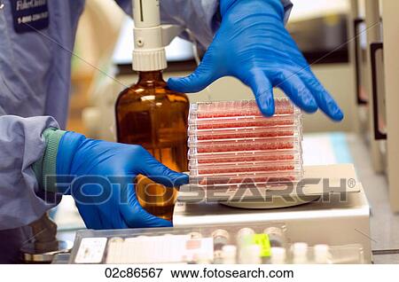 Stock Photo - Lab technician doing blood experiments.. Fotosearch