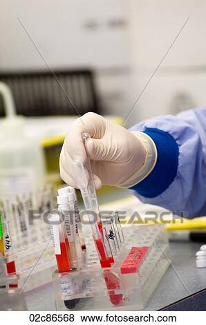 Lab technician doing blood experiments. View Large Photo Image Stock Photo - Lab technician doing blood experiments.. Fotosearch