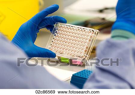 Lab technician doing blood experiments. View Large Photo Image Stock Photo - Lab technician doing blood experiments.. Fotosearch