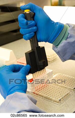 Stock Photography - Lab technician doing blood experiments.. Fotosearch