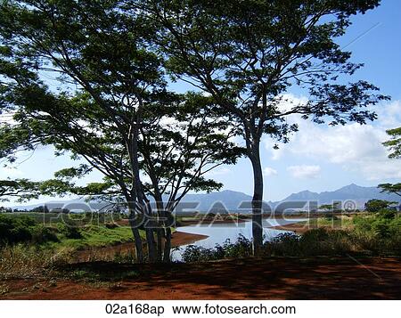 Stock Photography - Landscape with red soil, trees and river. Fotosearch