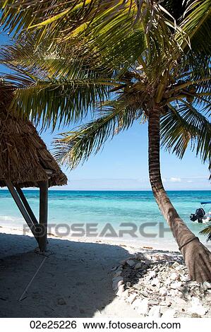 Stock Photograph - Laughing Bird Caye, Beach. Fotosearch