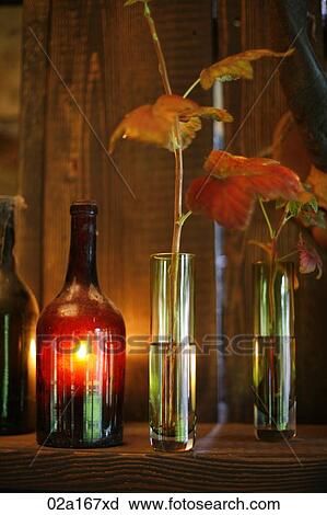 Leaves in a vase View Large Photo Image Stock Image - Leaves in a vase. Fotosearch