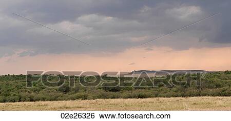 Maasai Mara landscape in Kenya Africa View Large Photo Image Stock Photograph - Maasai Mara landscape in Kenya Africa. Fotosearch