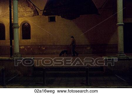 Stock Image - Man walking dog, Bologna, Italy at night. Fotosearch