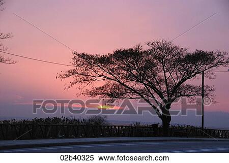 Stock Photography - Mikri Volvi, lake, Thessaloniki region. Greece. Fotosearch