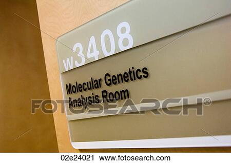 Molecular Genetics Analysis Room View Large Photo Image Stock Image - Molecular Genetics Analysis Room. Fotosearch
