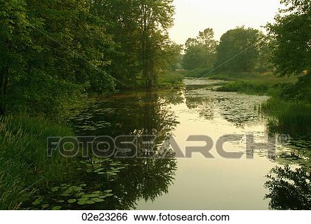 Morning mist on a rural pond. View Large Photo Image Stock Photograph - Morning mist on a rural pond.. Fotosearch