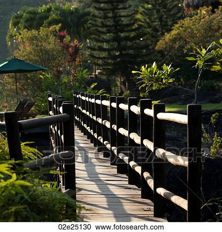 Mountain Pine Ridge Reserve, Bridge View Large Photo Image Stock Image - Mountain Pine Ridge Reserve, Bridge. Fotosearch
