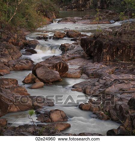 Mountain Pine Ridge Reserve, Creek View Large Photo Image Stock Image - Mountain Pine Ridge Reserve, Creek. Fotosearch